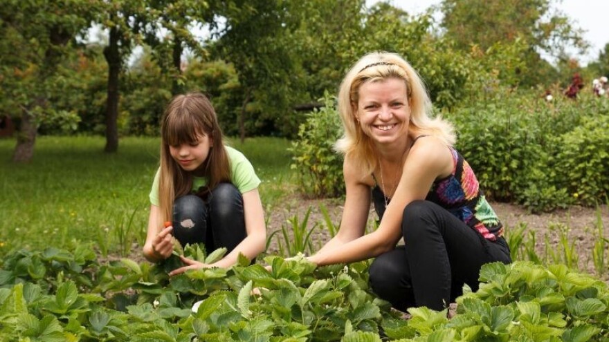 Kako povećati broj ekoloških proizvođača?