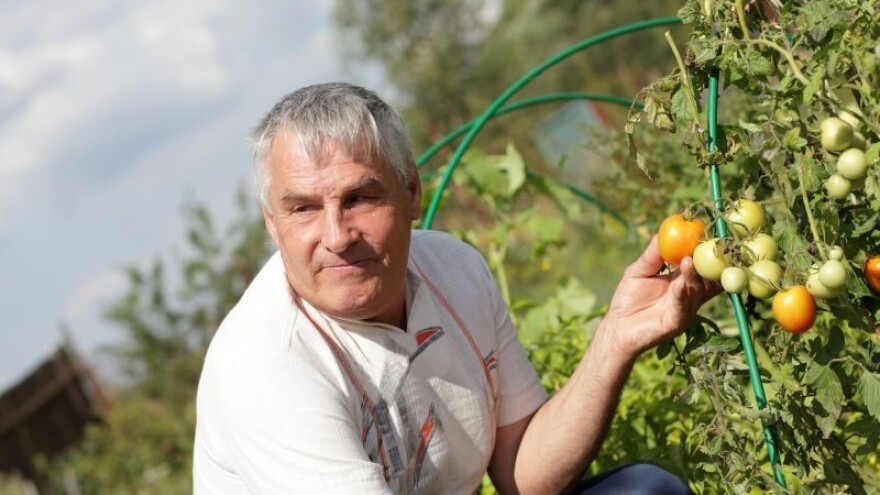 Potencijali eko poljoprivrede u Hrvatskoj