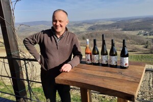 Zlatna žutica mu prepolovila vinograd, ali Tomislav Bolfan od eko pristupa ne odustaje