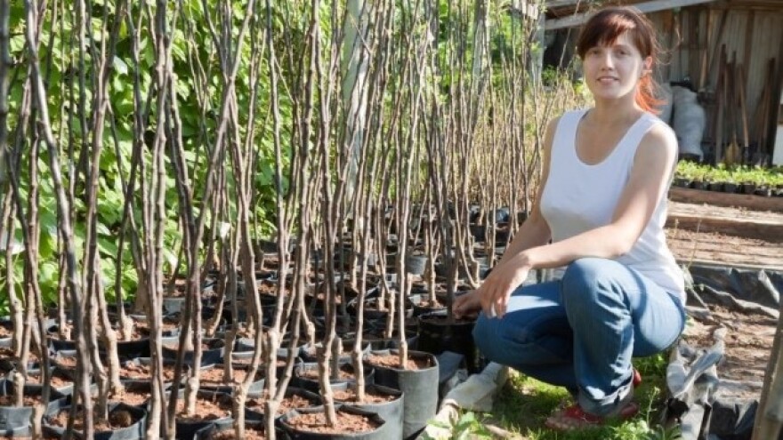 Ekološka zaštita u voćnjaku