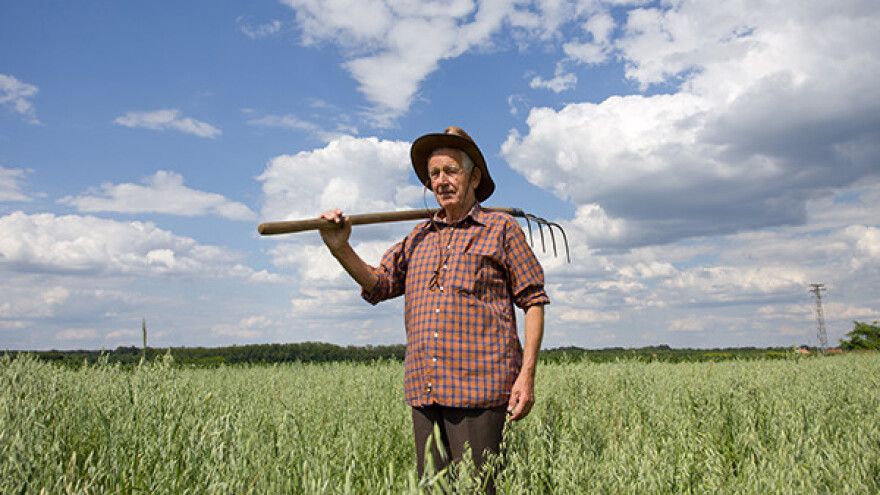 Kako uzgajati zob na ekološki način?