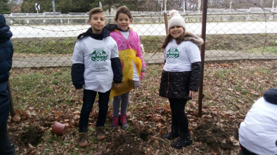 Kragujevac: Akademija za pošumljavanje