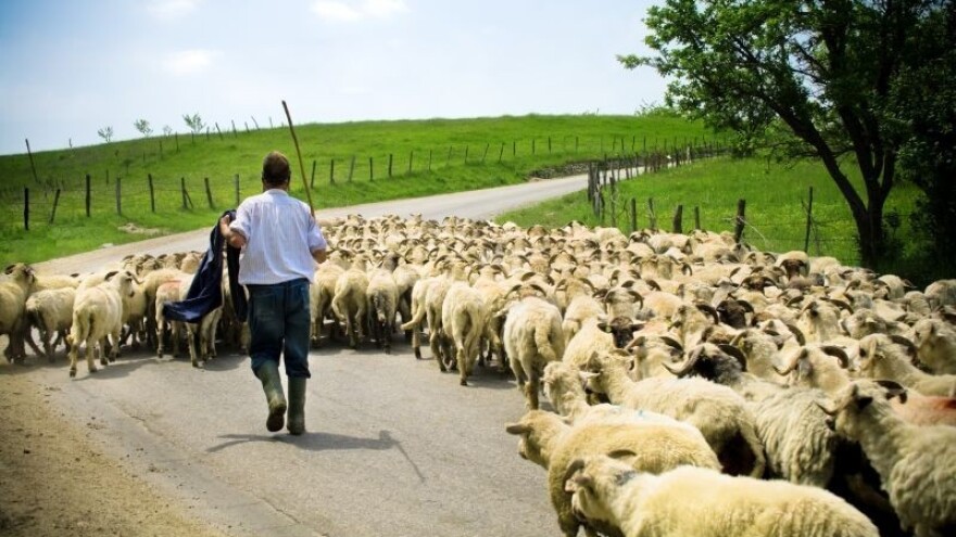 Utrostručeno globalno tržište eko proizvoda!