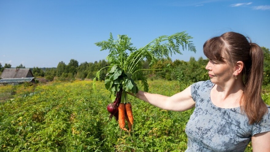 Kako postati proizvođač eko hrane u EU?