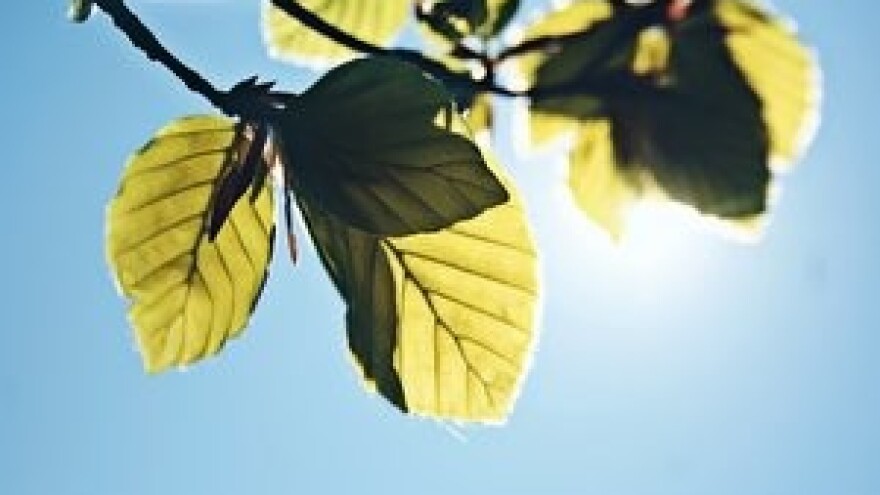 Eko Sever - pioniri na tržišnoj vjetrometini