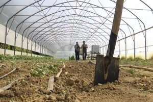 Ekološka proizvodnja u Slavoniji ima budućnost