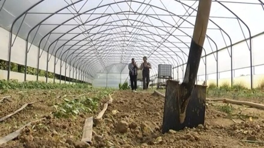 Ekološka proizvodnja u Slavoniji ima budućnost