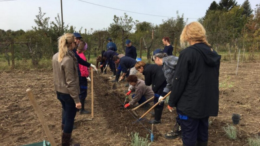 Dodijeljene diplome prvim eko poljoprivrednicima