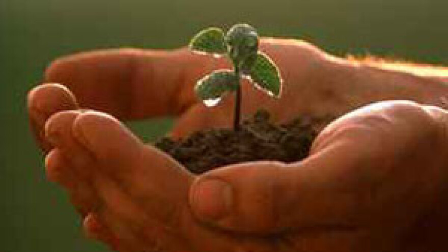 Radionica iz ekološke poljoprivrede