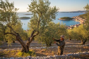 Ekološka poljoprivreda u 2011.
