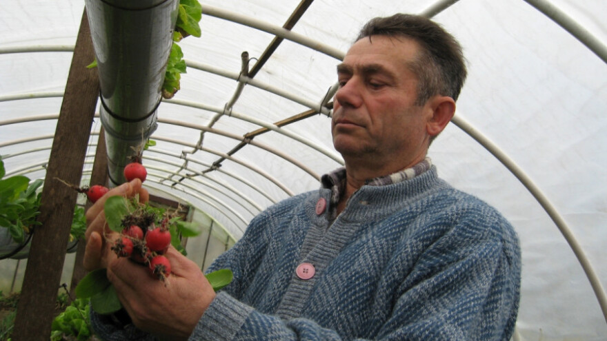 Zdrava hrana za unuke, ali i mušterije