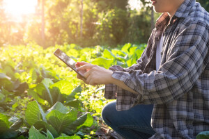 Farmeri, do idealnog kupca dođite u tri koraka