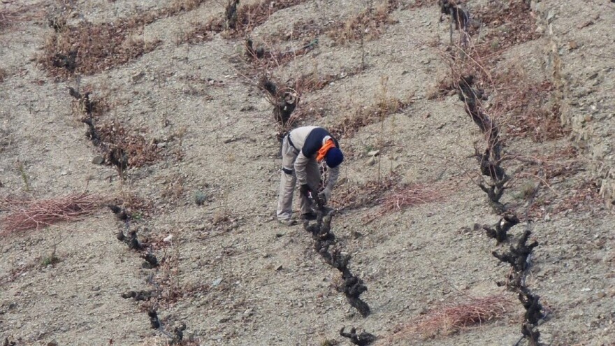 Kružna ekonomija je spas za poljoprivredu? Španija već počela s primjenom