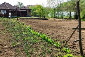 Zaštitite vrt i voćnjak prirodnim putem - biljkama, kukcima i kopanjem