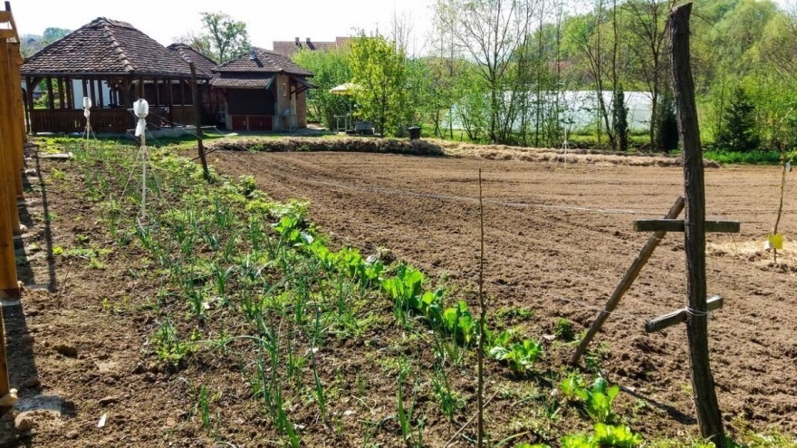 Zaštitite vrt i voćnjak prirodnim putem - biljkama, kukcima i kopanjem