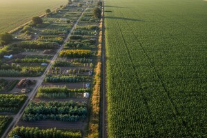 Ekoproizvodnju koče lobiji
