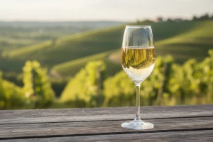 Ekskluzivno vino nazvali po enologinji Jasminki
