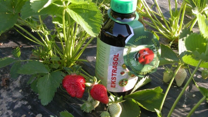 Promena klime - promena tehnologije gajenja useva