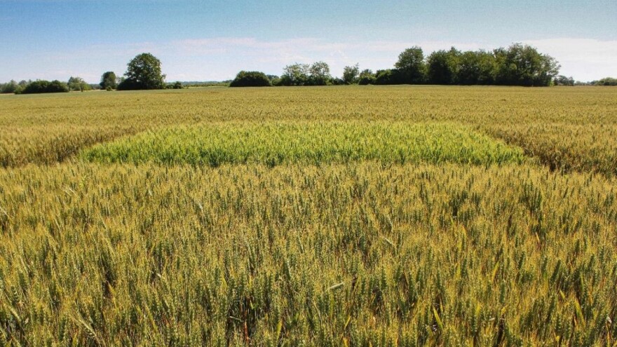 Nova Era dolazi - snažna i potpuna zaštita žitarica od bolesti!