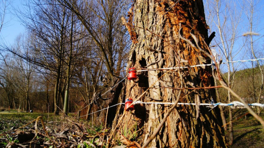 Lovoovlaštenicima 500.000 kuna za električne pastire