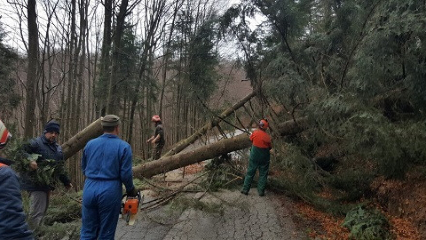 Treća elementarna nepogoda za goranske šume