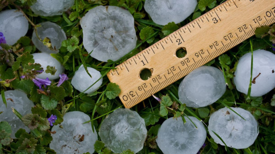 Radionice za potencijalne korisnike mjere 5