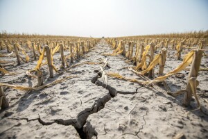 Elementarna nepogoda i u Požeško-slavonskoj županiji!