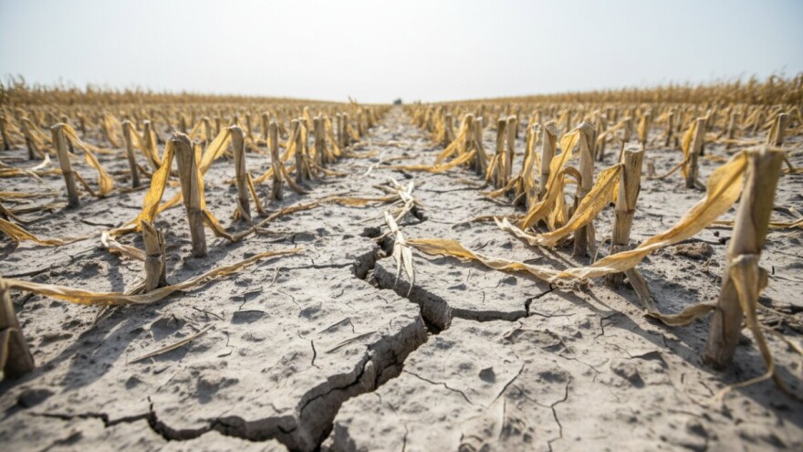 Elementarna nepogoda i u Požeško-slavonskoj županiji!