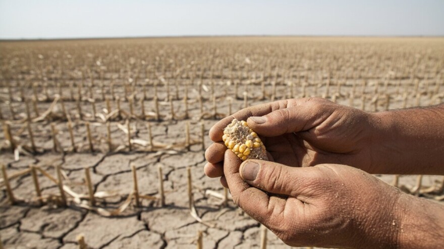 Elementarna nepogoda na tržištu hrane
