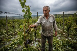 Elementarna nepogoda u Mariji Bistrici