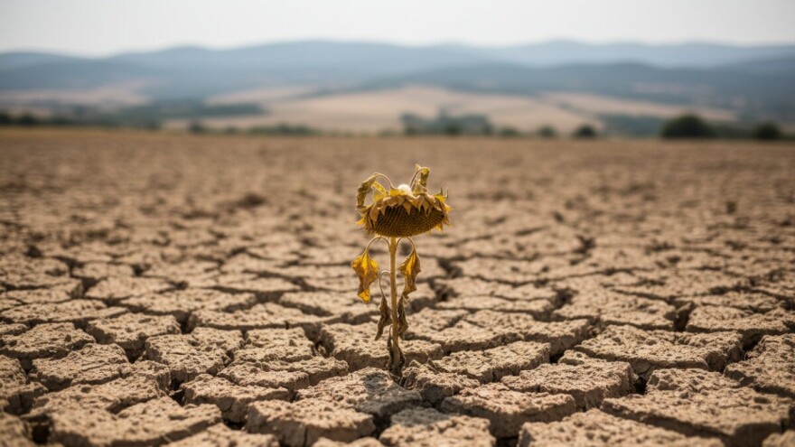 Elementarna nepogoda za poljoprivredu