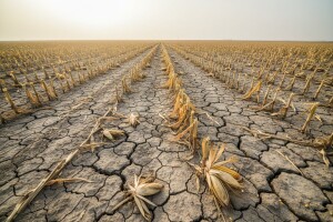 Elementarna nepogoda zbog suše