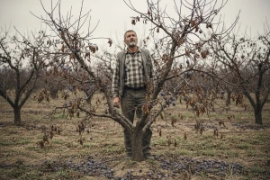Elementarne nepogode osušile račune voćara