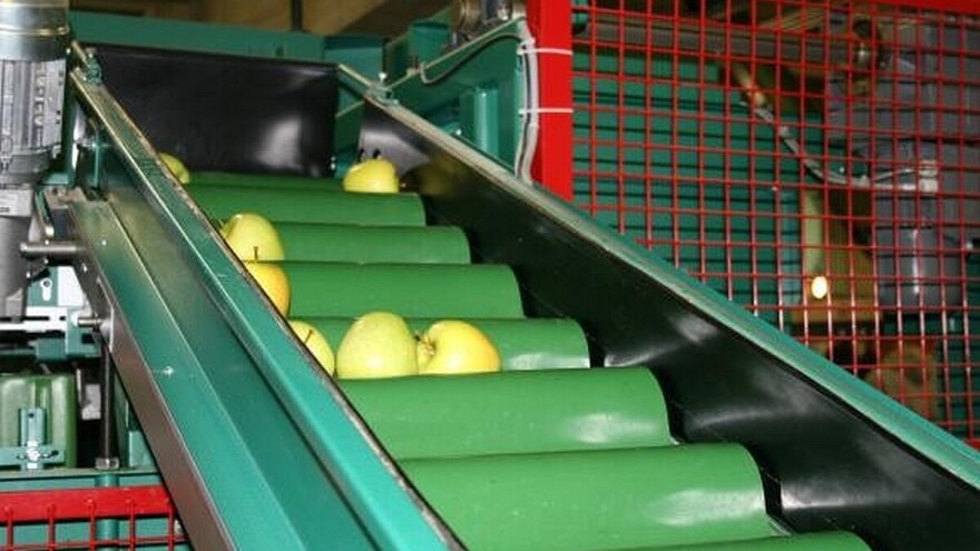 Pravilno zaštitite uskladišteno voće