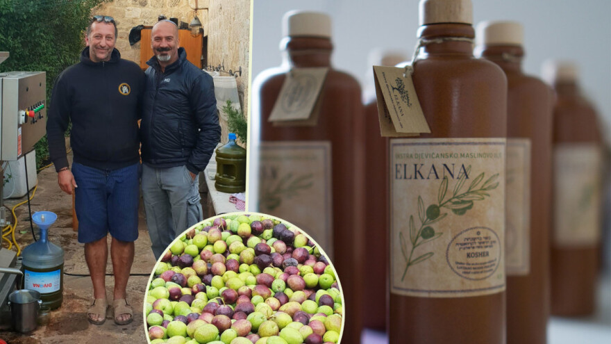 Hrvatska ima Elkanu - prvo domaće košer maslinovo ulje!