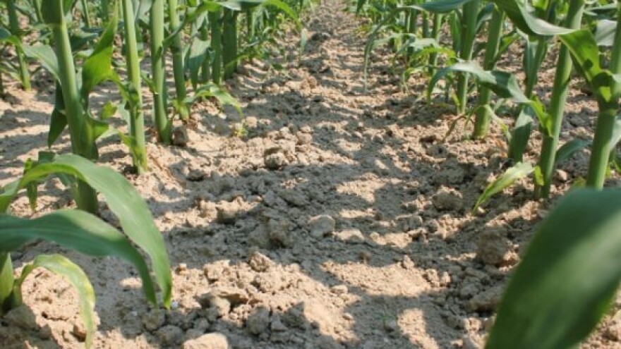 Novo iz Syngentine tvornice rješenja!