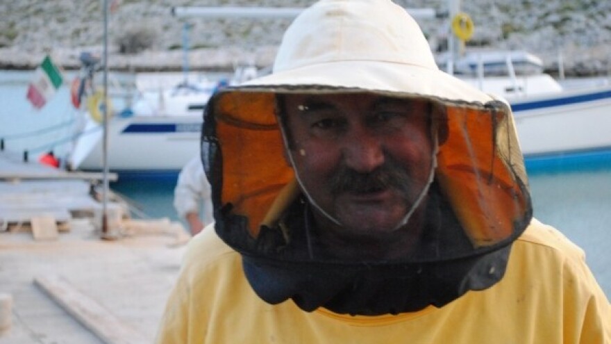 Vrijesak - krah za pčelare ili spas za berače?