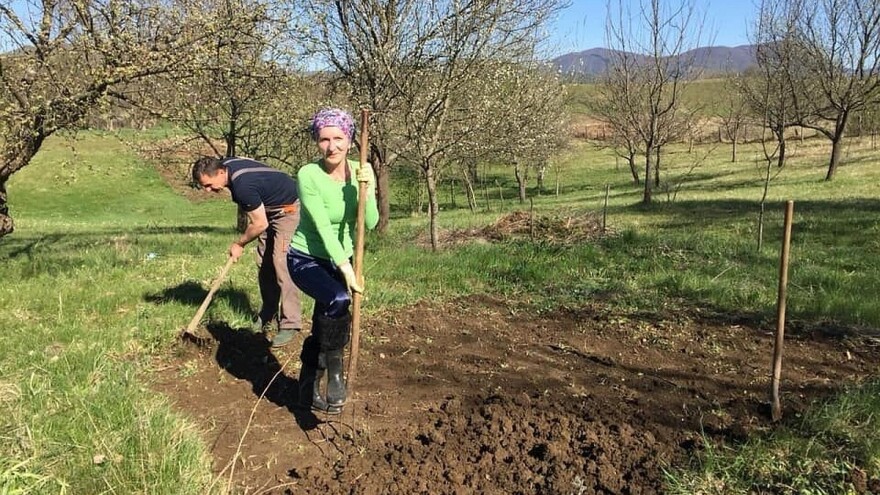Elvira Serdarević: Proizvodnja zdrave hrane kao životna misija