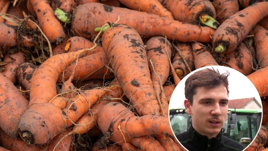 Emanuel Pintarić besplatno dijeli mrkvu i krumpir: Zdravo je, ali nije dovoljno lijepo za trgovine