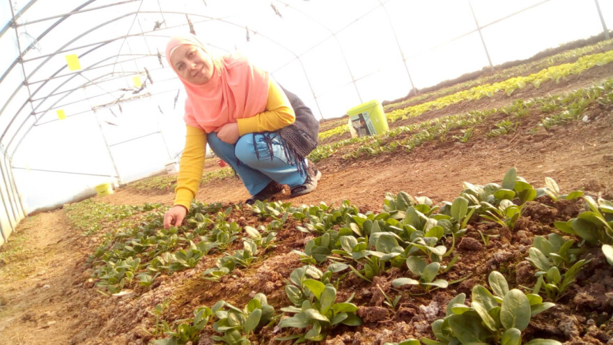 Emina Fejzović: Htjeli smo imati svoje povrće, a sad proizvodimo skoro sve sorte