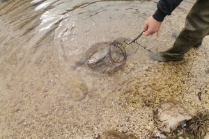 Mijenja se Zakon o slatkovodnom ribarstvu u FBiH
