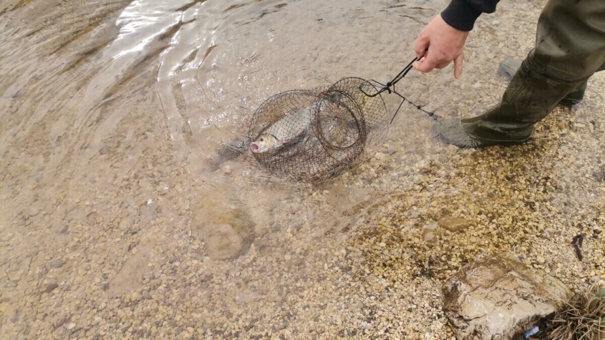 Mijenja se Zakon o slatkovodnom ribarstvu u FBiH