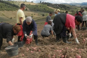 Tek svaka šesta žena na selu - vlasnica nekretnine