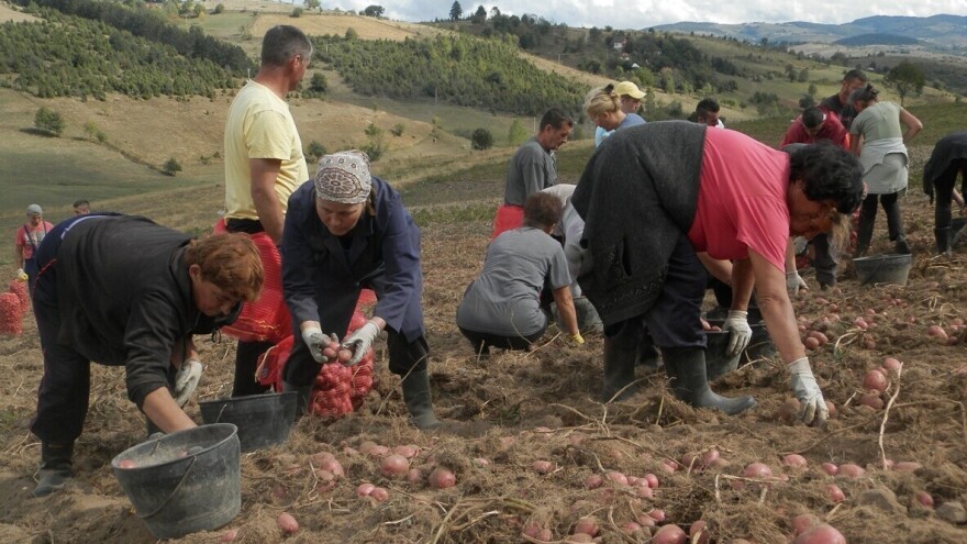 Tek svaka šesta žena na selu - vlasnica nekretnine
