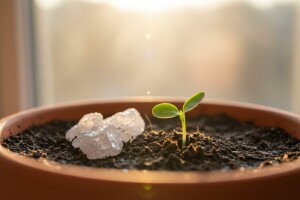 Energizatori za biljke na bazi kristala!