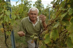 10% štete u vinogradu Ivana Enjingija