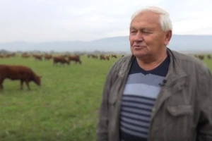 Ivan Enjingi ima vrhunska vina, ali i crvena angus goveda!