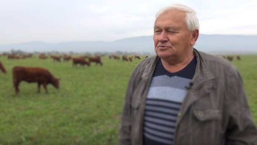 Ivan Enjingi ima vrhunska vina, ali i crvena angus goveda!