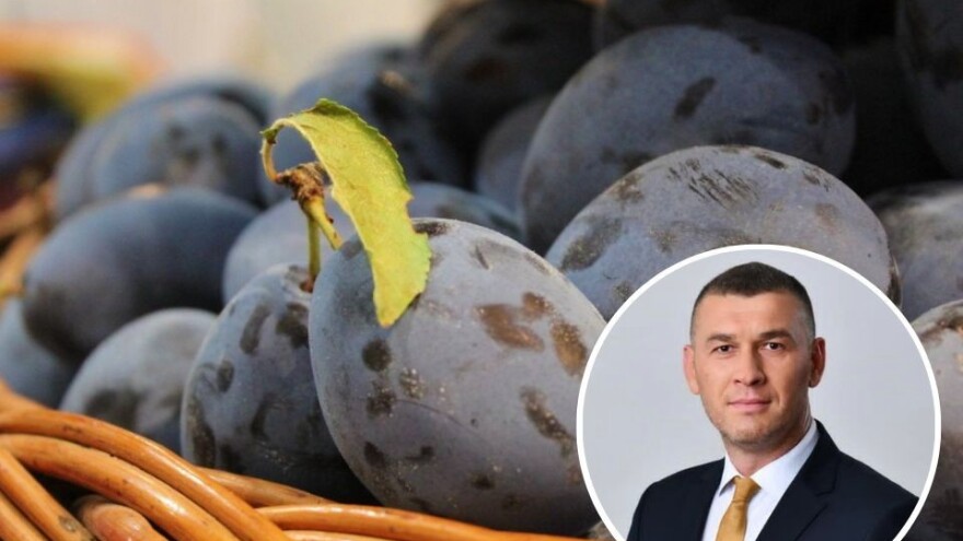 Ensar Mešanović: Vraćamo značaj Gradačačkog sajma i domaće poljoprivrede