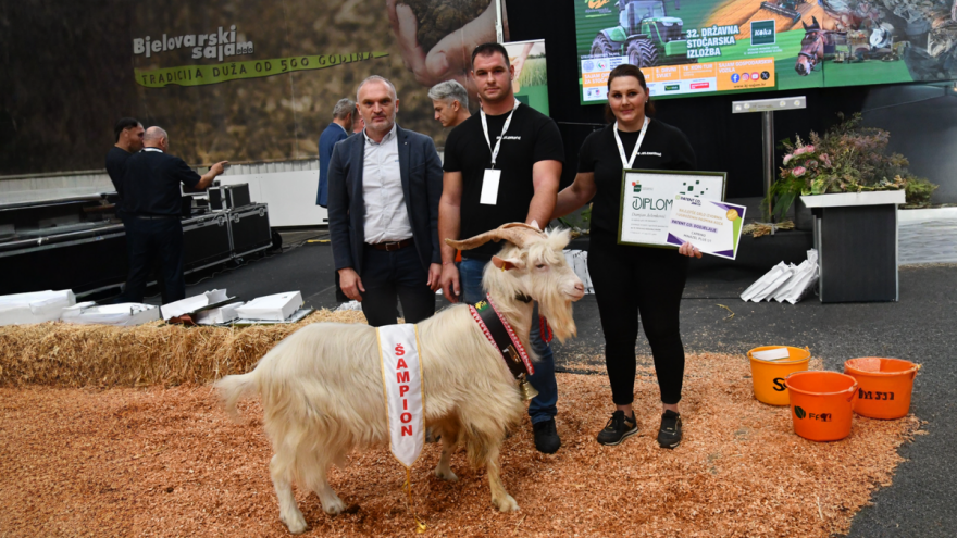 Evo i šampiona 32. Državne stočarske izložbe u kategoriji konja, ovaca, koza i peradi